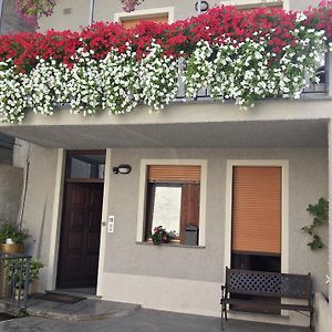 B&B Stephany